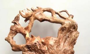 《百年柏雕》霍海涛工作室